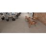porcelanato-delta-nova-valencia-beton-acetinado-90x90-ambiente