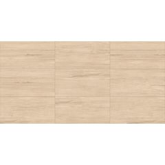 porcelanato-delta-cambuci-acetinado-53x106-paginacao