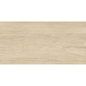 porcelanato-delta-cambuci-acetinado-53x106-6