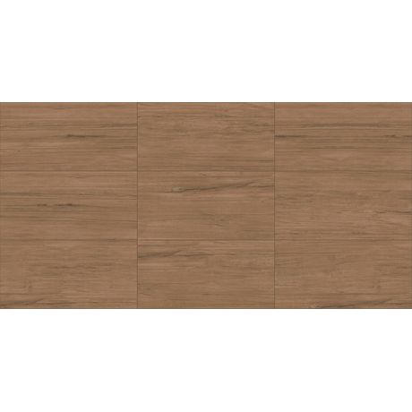 porcelanato-delta-cambuci-escuro-acetinado-53x106-paginacao