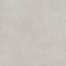 porcelanato-castelli-monte-saint-michez-snow-satiny-acetinado-123x123-5